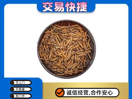 汕头回收散虫草